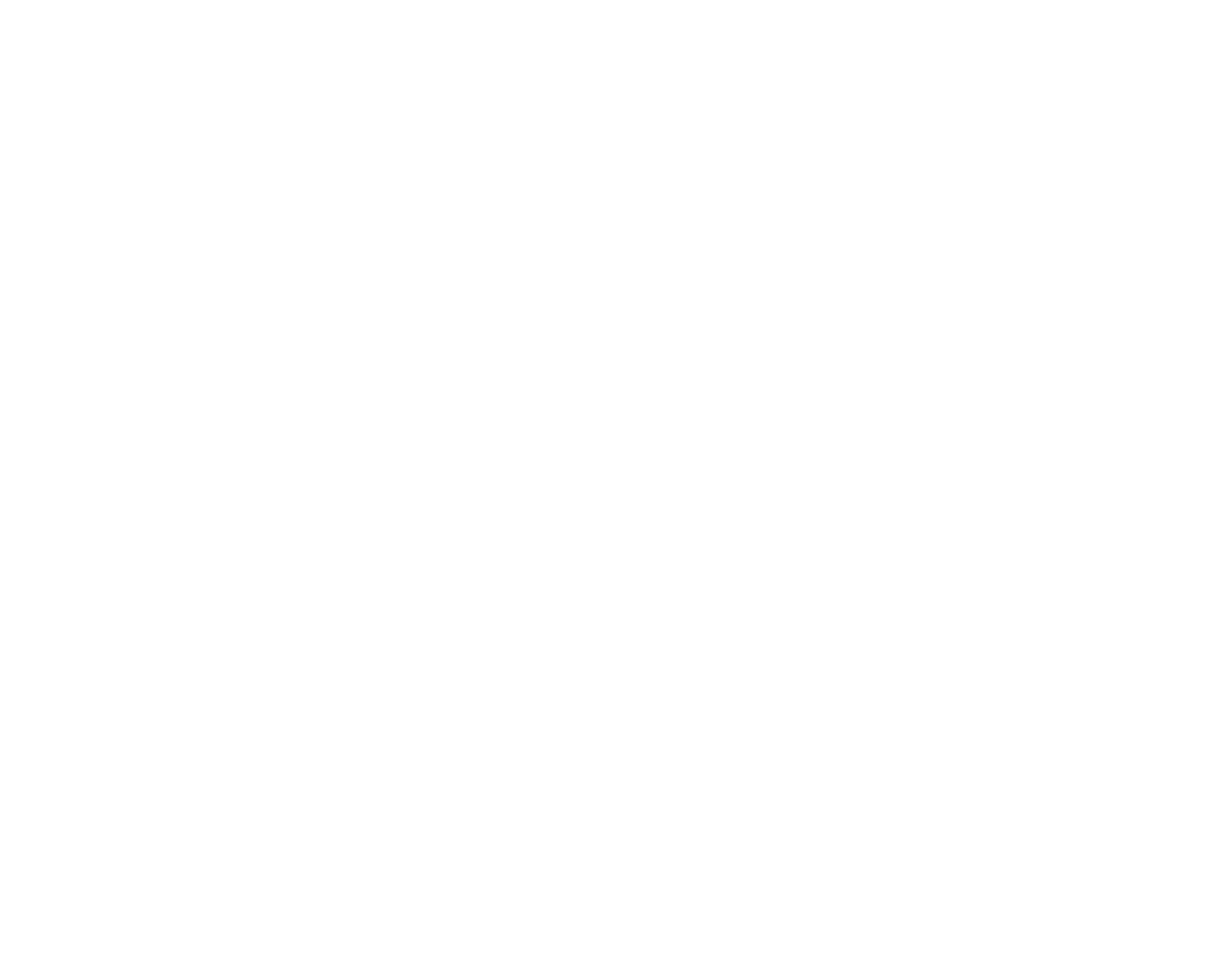 Press & Pr Consultant logo